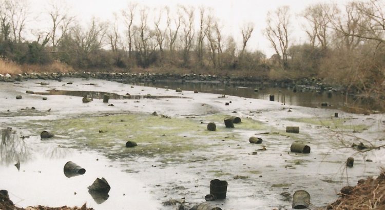 History of Sugar Mill Ponds
