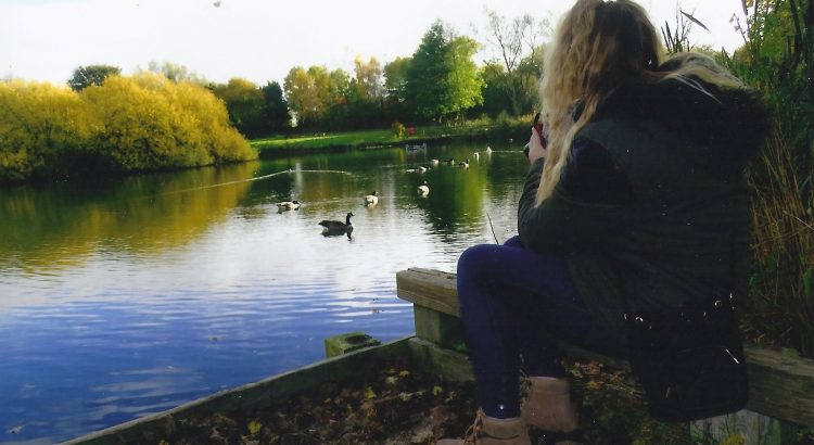 Sugar Mill Ponds Today