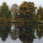 Sugar Mill Ponds Today
