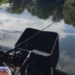 Festival Family Fishing Match