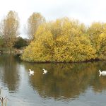 Sugar Mill Ponds